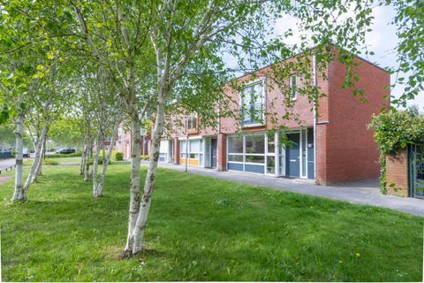 Bakstenen woningen achter een rij berken op een grasveld